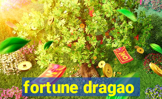 fortune dragao