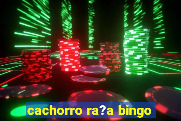 cachorro ra?a bingo