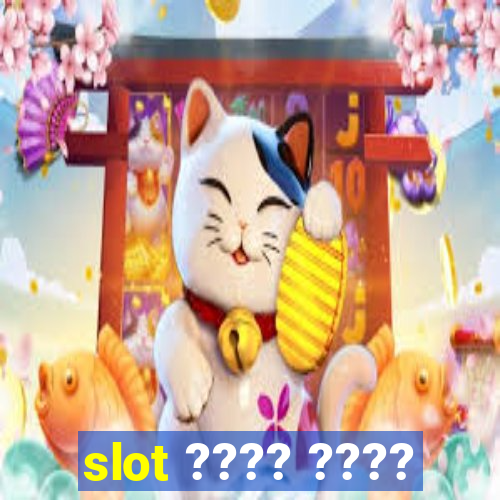 slot ???? ????