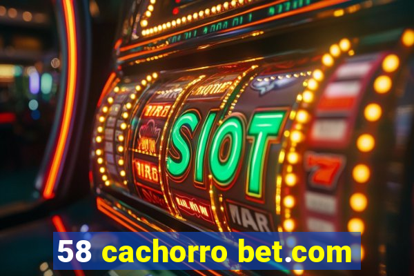 58 cachorro bet.com