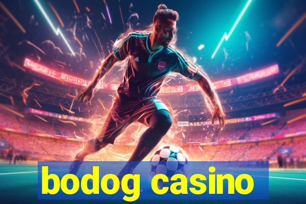 bodog casino