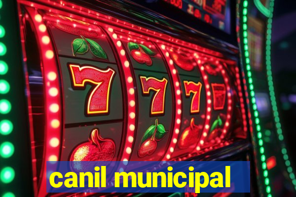 canil municipal