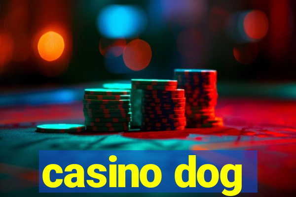 casino dog