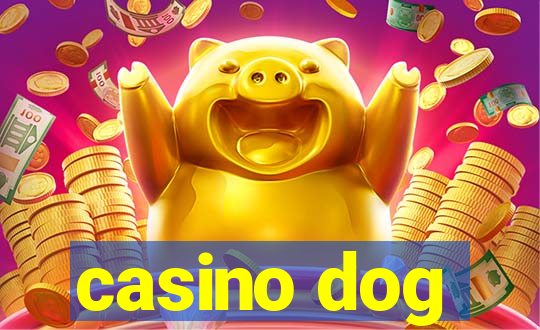 casino dog