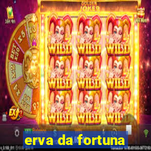 erva da fortuna