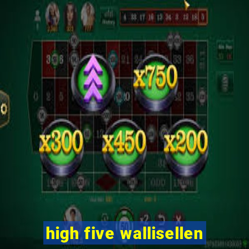 high five wallisellen