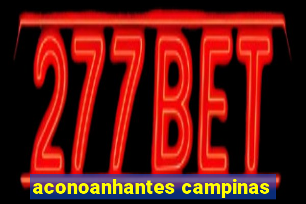 aconoanhantes campinas