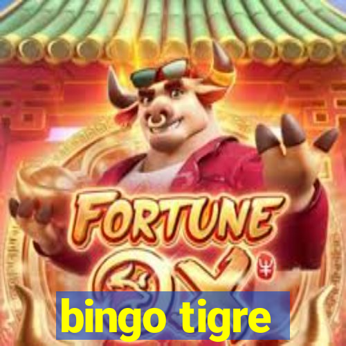 bingo tigre