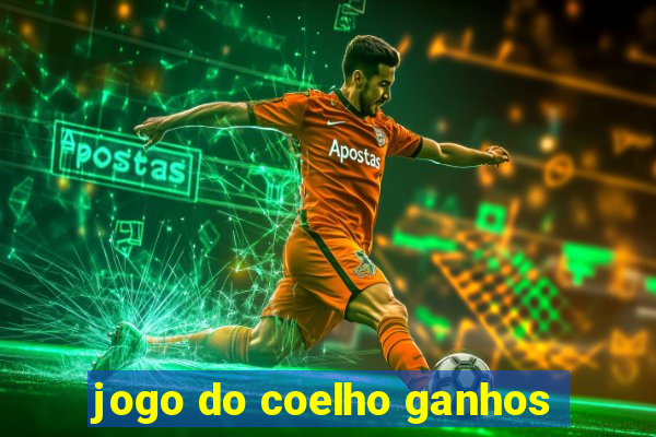 jogo do coelho ganhos