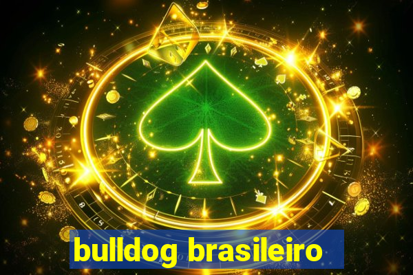 bulldog brasileiro