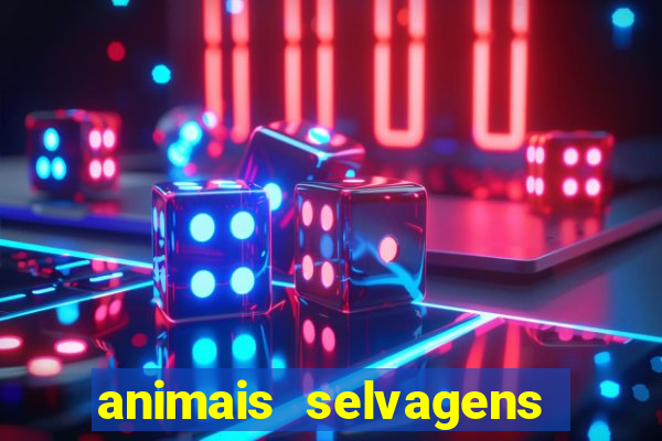 animais selvagens fotos e nomes