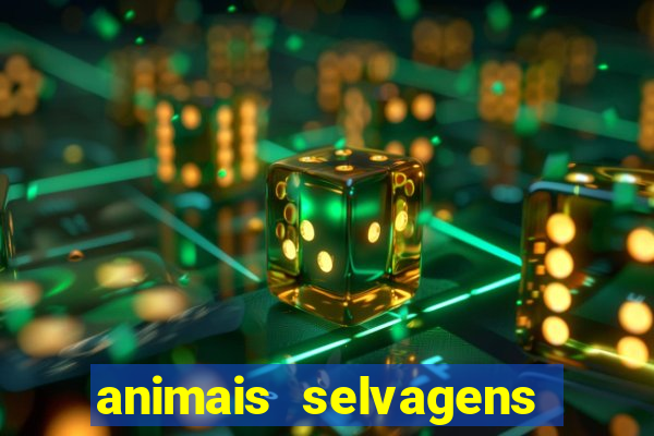 animais selvagens fotos e nomes