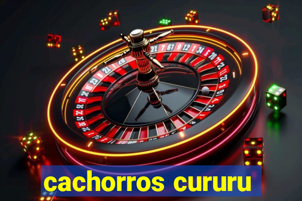 cachorros cururu