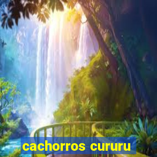 cachorros cururu