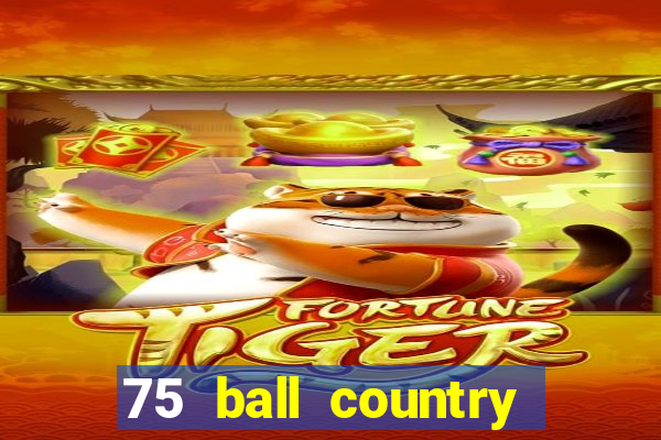 75 ball country road bingo