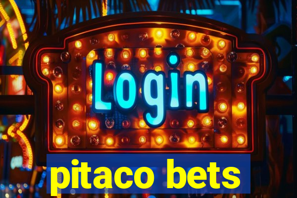 pitaco bets