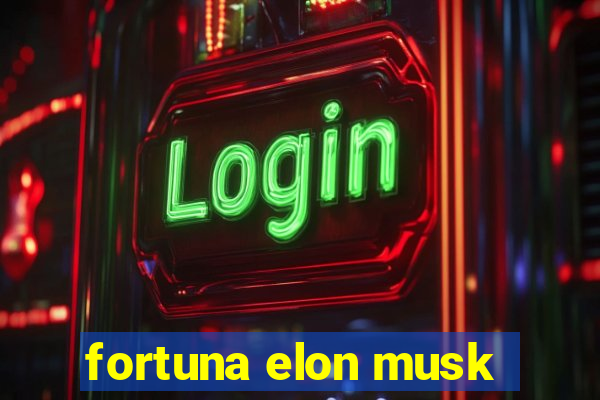 fortuna elon musk