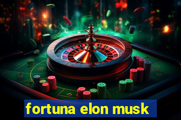 fortuna elon musk