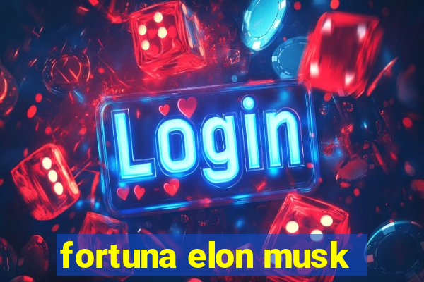 fortuna elon musk