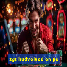 zgt hudvolved on pc