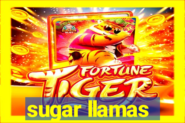 sugar llamas