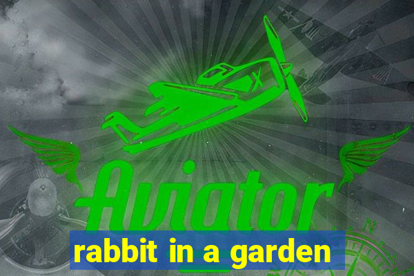 rabbit in a garden