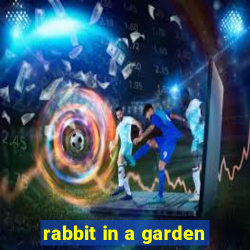 rabbit in a garden