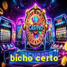 bicho certo