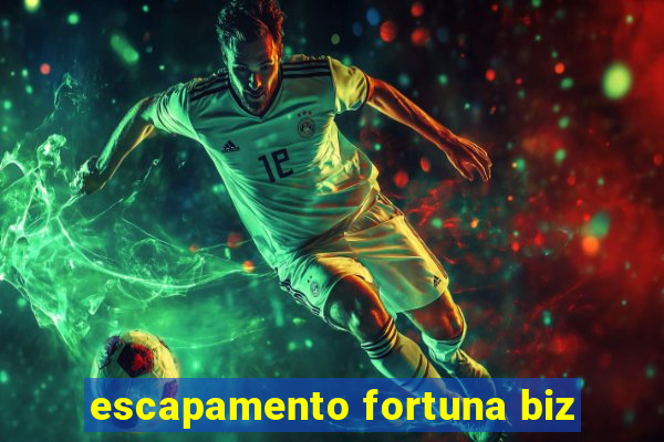 escapamento fortuna biz