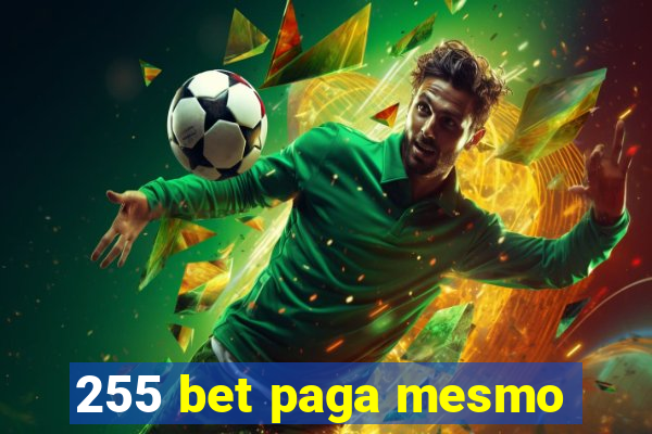 255 bet paga mesmo