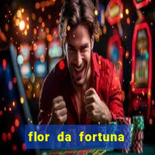 flor da fortuna como cuidar