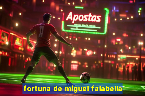 fortuna de miguel falabella