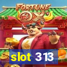 slot 313