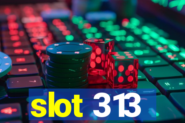 slot 313