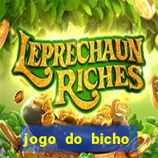 jogo do bicho online ganhar dinheiro