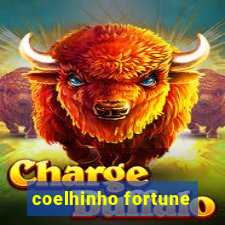 coelhinho fortune