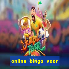 online bingo voor echt geld