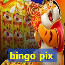 bingo pix