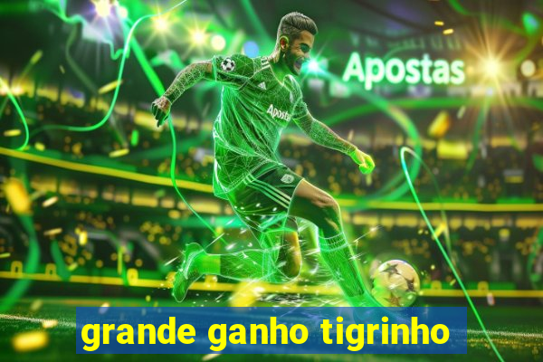 grande ganho tigrinho